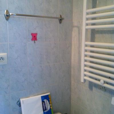 Radiateur sèche serviette électrique