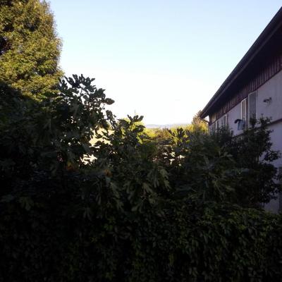 vue par la baie vitrée